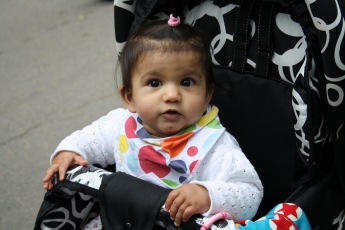 Tillbaka i kolmårdens djurpark.