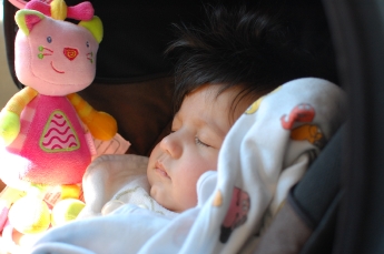 Zelda sov nästan hela tiden!