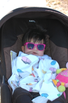 Passar på att vara vaken på rastplatsen.