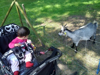 Vilken konstig katt!